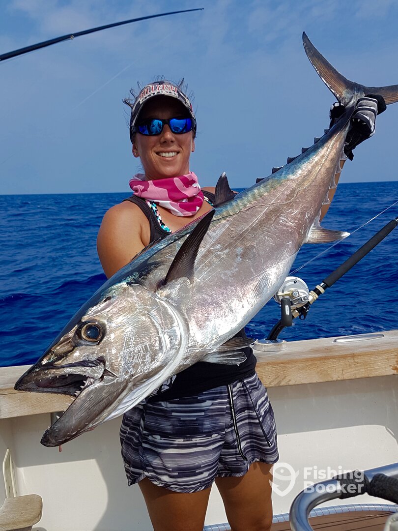 Dogtooth Tuna caught on Livebait.