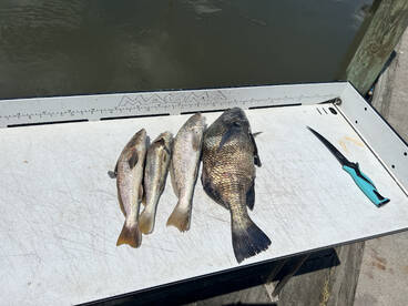 Fernandina Beach Report Photo 1