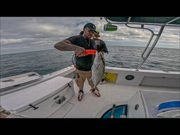 Clearwater Report Photo 2