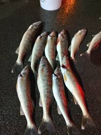 Lakeside Marblehead Report Photo 1