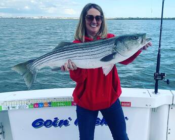 New York City Report Photo 1