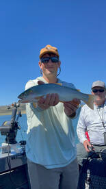 Yellowstone Park Visitors