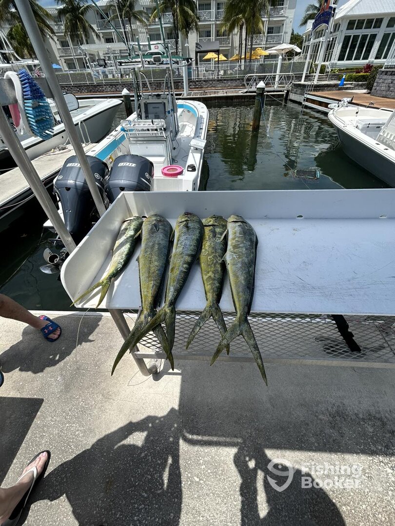 Stock Island Report Photo 0