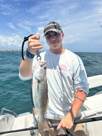 Fish anf sharks!