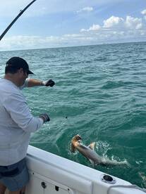 Port Orange Report Photo 1