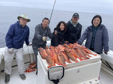 Fun wide open half day fishing today
