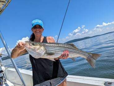 Susquehanna Flats Rockfish 