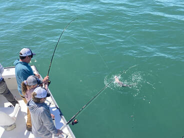 Nags Head Report Photo 1