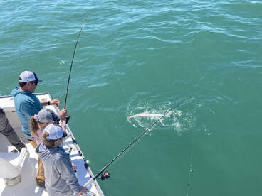 Nags Head Report Photo 2