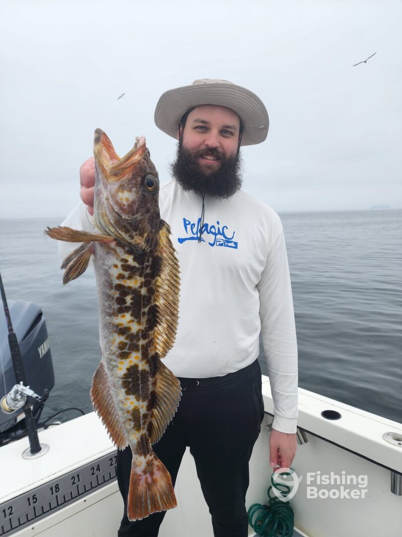 San Diego Report Photo 0