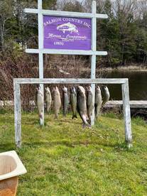 Lake Ontario Fishing Charters - April 28