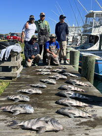 Killer sheepshead fishing!!