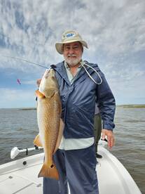 St. Bernard Report Photo 1