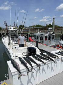 Murrells Inlet Report Photo 2