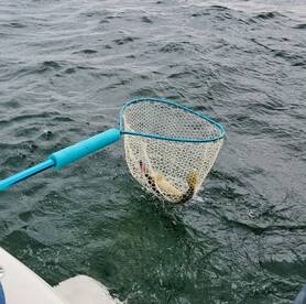 Lakeside Marblehead Report Photo 1