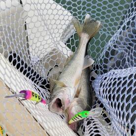 Lakeside Marblehead Report Photo 2