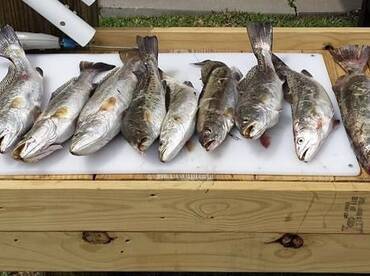 East Galveston Bay 4/30/2023