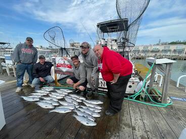 Port Washington Report Photo 2