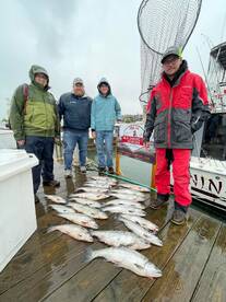 Port Washington Report Photo 1