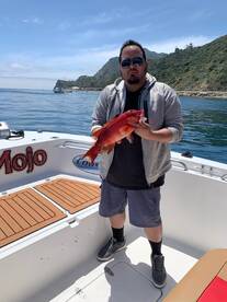 Avalon Report Photo 4