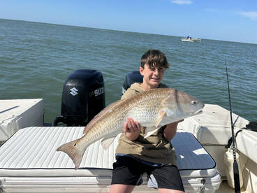 Galveston Report Photo 1