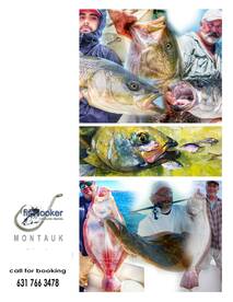 The bass are in Montauk big time