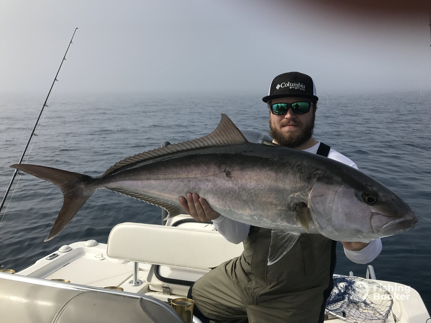 Sarasota Report Photo 0