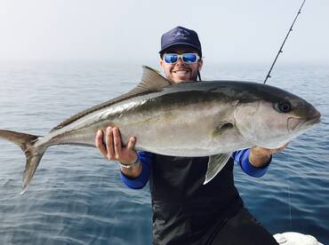 Sarasota Report Photo 2