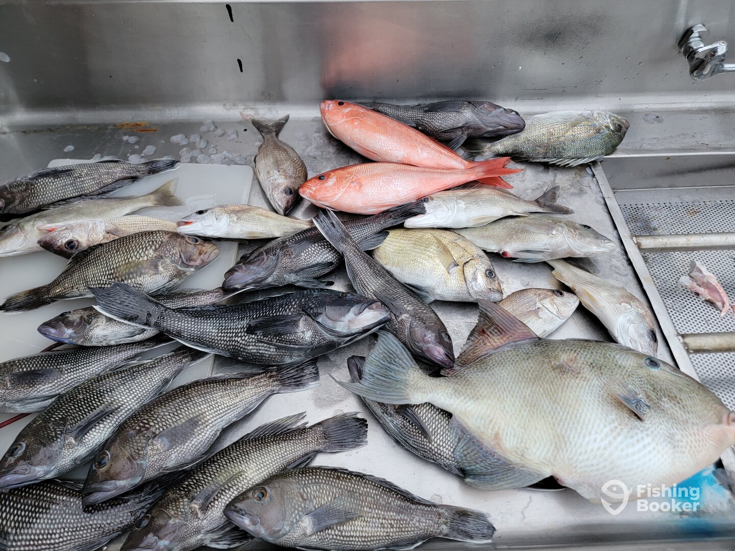 St. Simons Island Report Photo 0