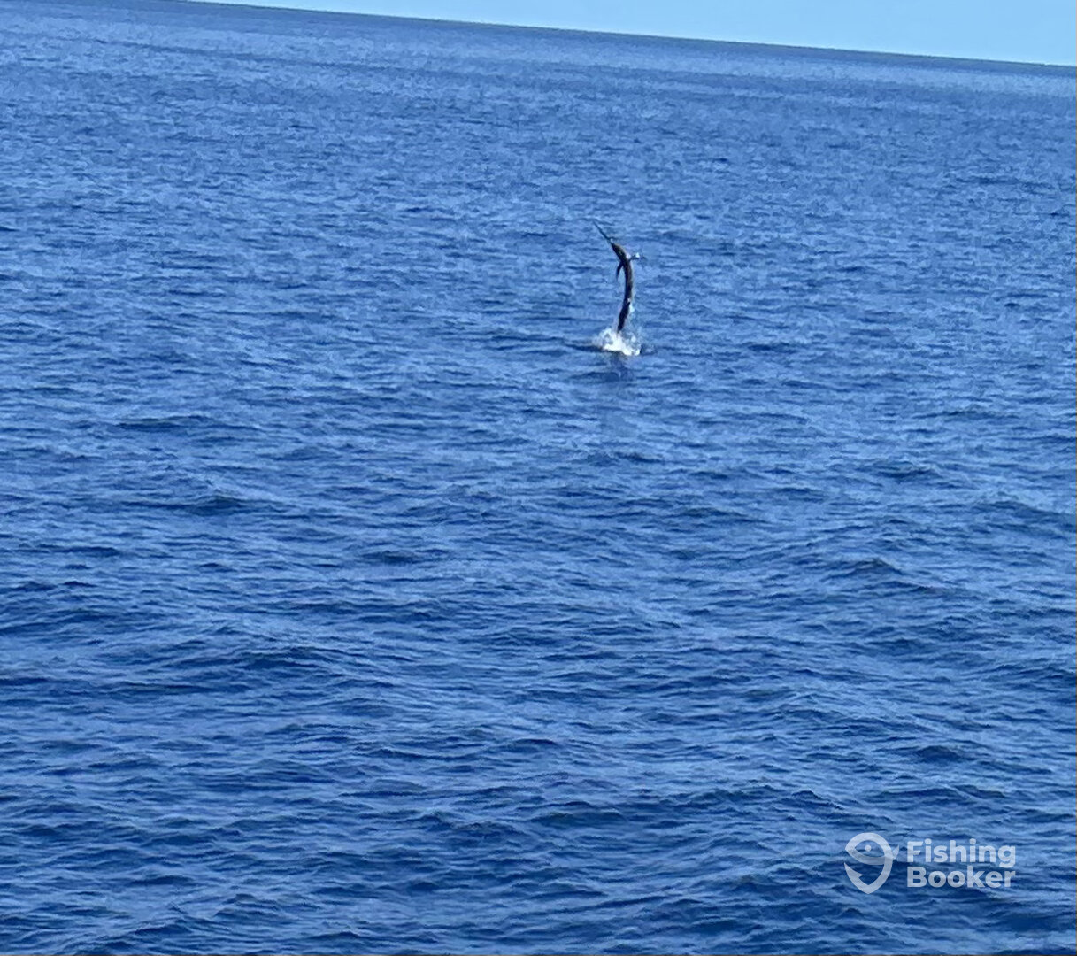 Key West Report Photo 0