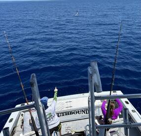 Key West Report Photo 1