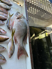 Key West Report Photo 2