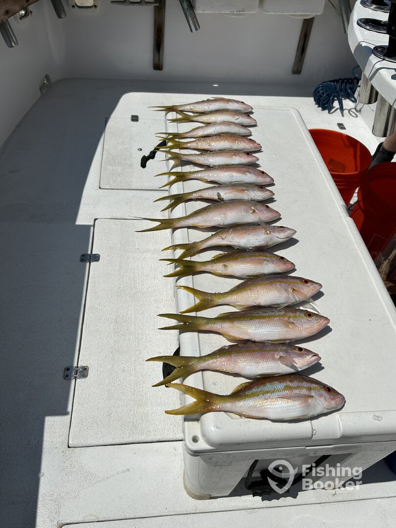 Stock Island Report Photo 0