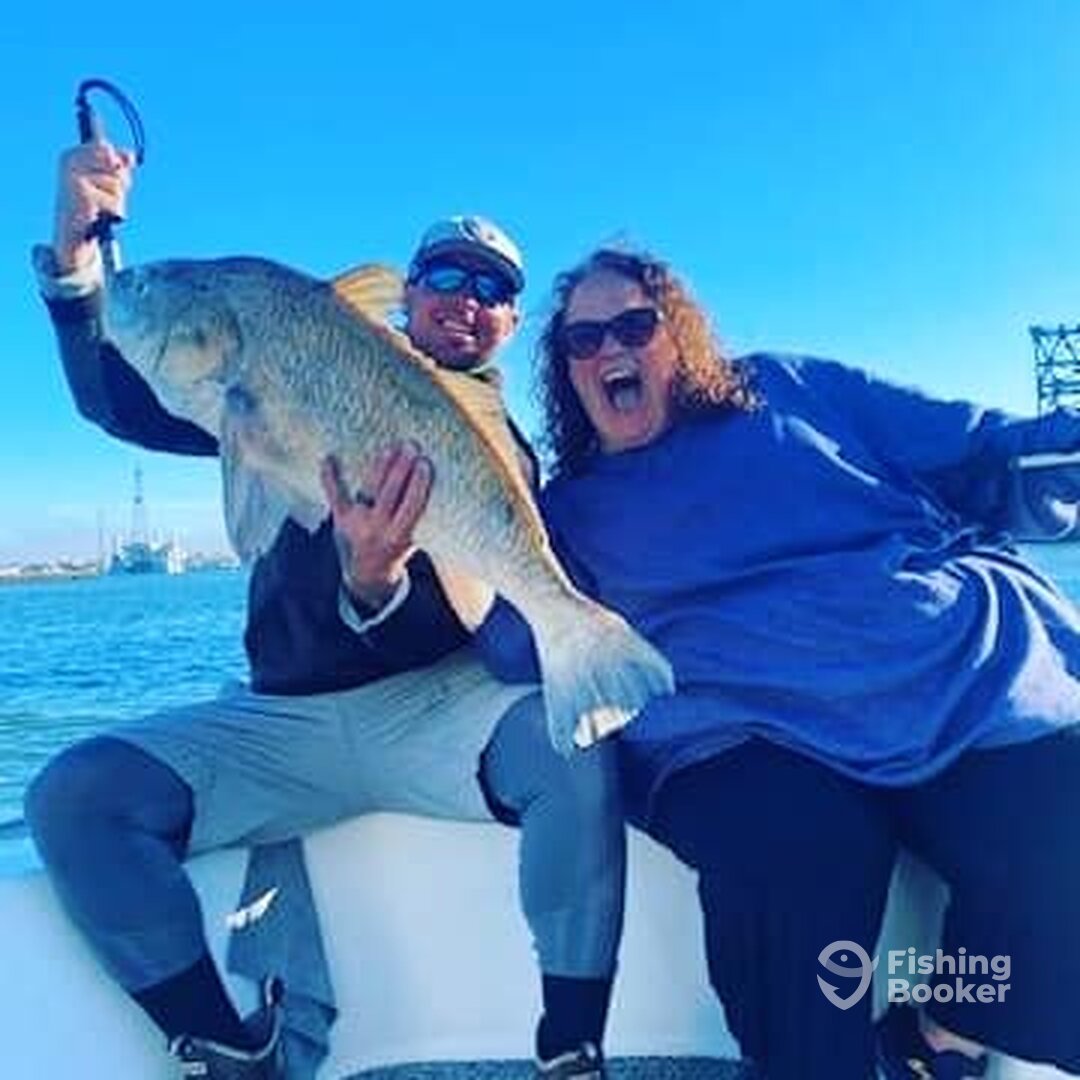 Black Drum Inshore