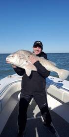 Monster Black Drum!