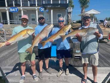 Galveston Report Photo 2