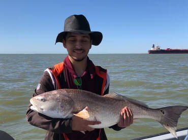 Galveston Report Photo 2