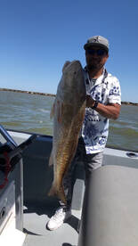 Redfish Bite is HOT!!!