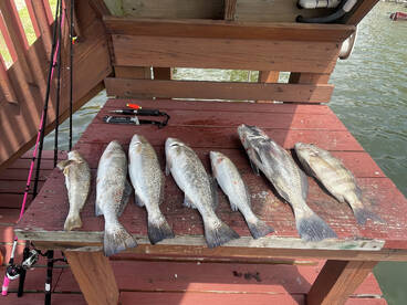 Slow start but nice finish