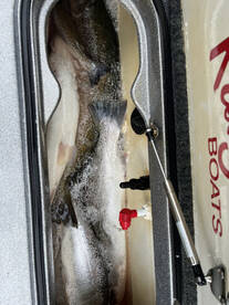 Sheboygan Report Photo 2