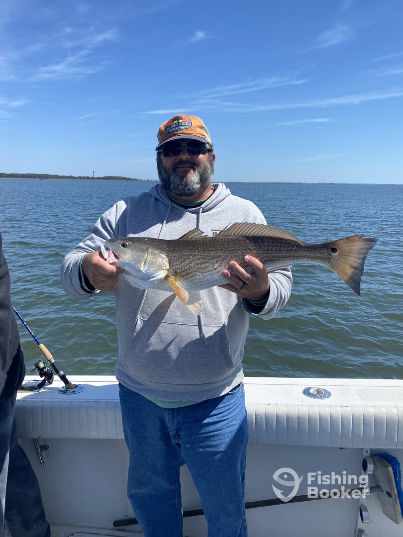 Manteo Report Photo 0