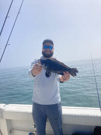 Manteo Report Photo 2