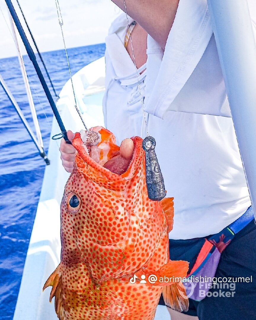 Cozumel Report Photo 0