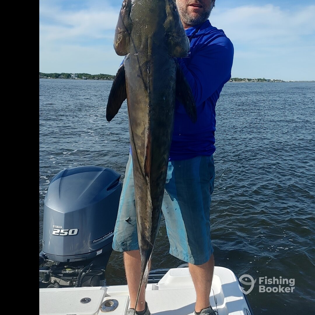 Jacksonville Beach Report Photo 0