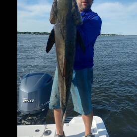 Cobia are here.