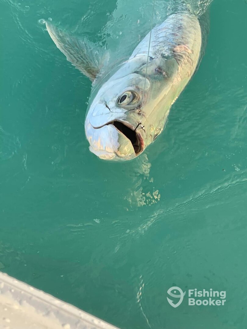 Islamorada Report Photo 0