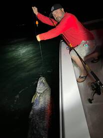 Upper Keys Report Photo 1