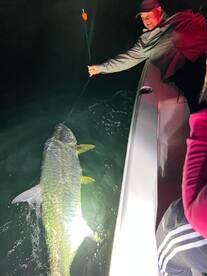 Islamorada Report Photo 1