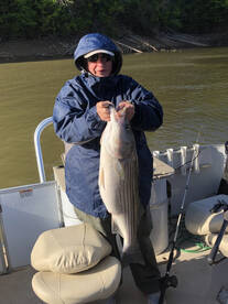 Stripers Are Hammering Right Now!!!