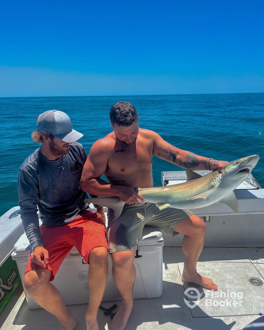 Clearwater Report Photo 0